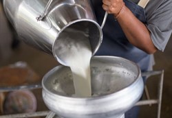 Πότε αναμένεται μείωση των τιμών του γάλακτος