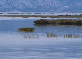 Κουρέτας: Να μεγαλώσουν Πηνειός και Κάρλα