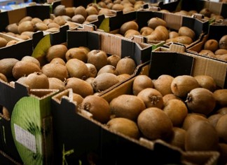 Εξαγωγές: Πάνω ακτινίδια - μανταρίνια, πτώση στα μήλα