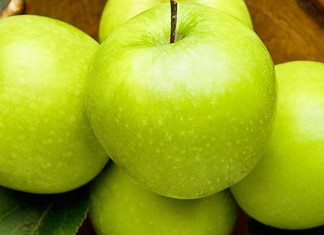 Χειροπέδες για τα μήλα στον Συνεταιρισμό Αγιάς