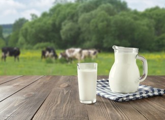 Από τη Θεσσαλία το 18,8% του ελληνικού γάλακτος