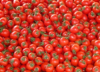 Η βιομηχανία βάζει “πλάτη” για να σωθεί η χρονιά στη Θεσσαλική ντομάτα