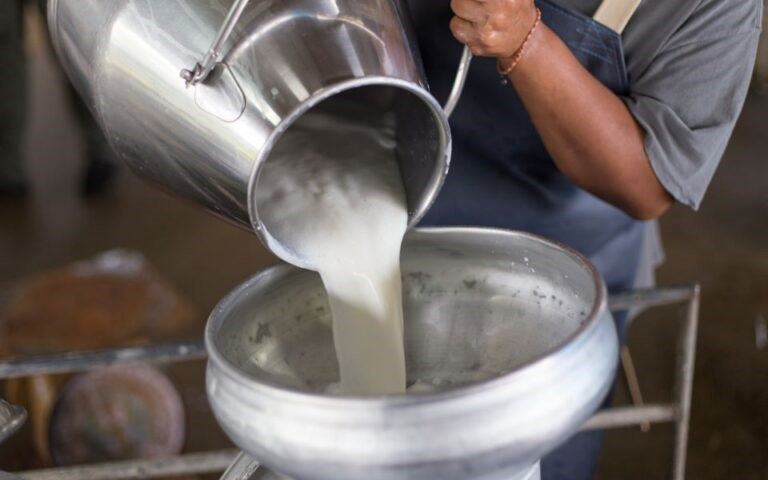 Πότε αναμένεται μείωση των τιμών του γάλακτος