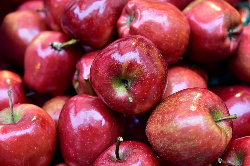 Ικανοποιητική η παραγωγή μήλων στο Πήλιο