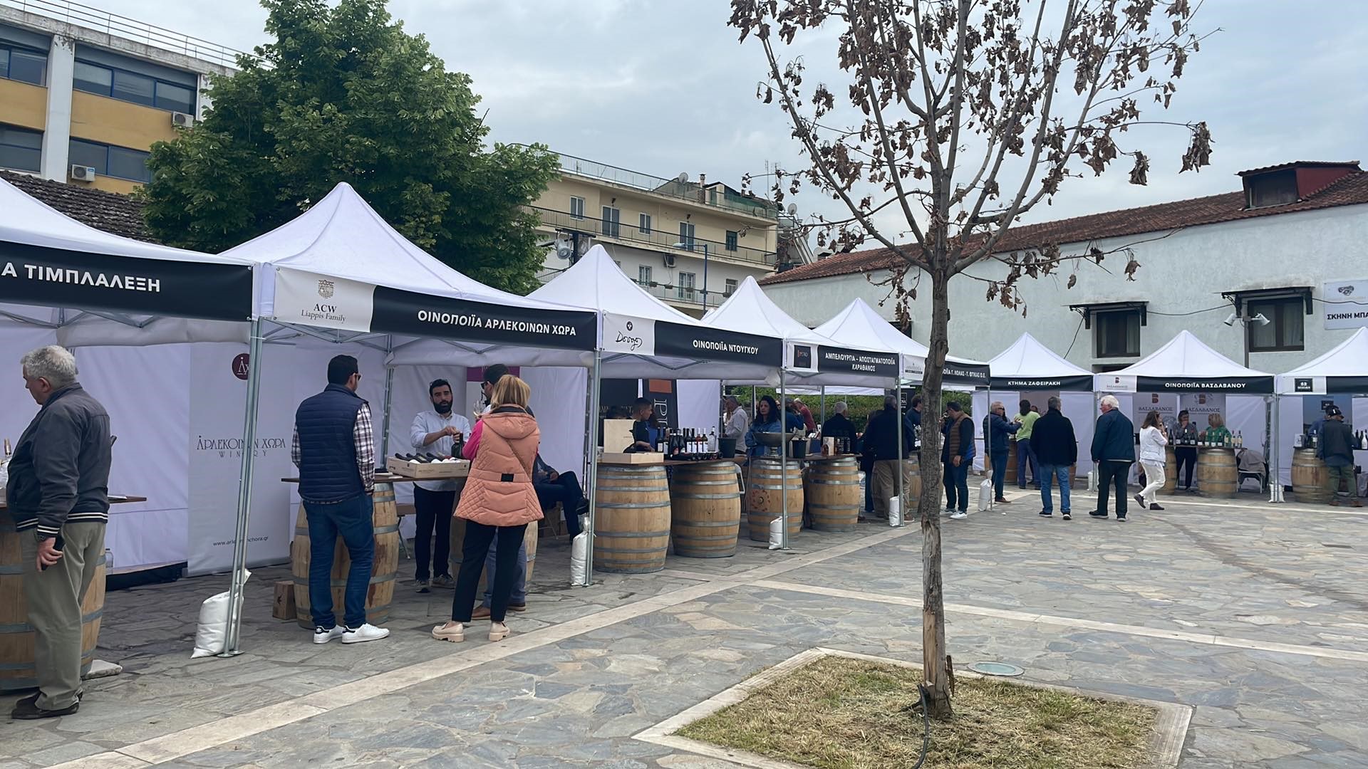 Άρεσε το πρώτο φεστιβάλ οίνου στη Λάρισα